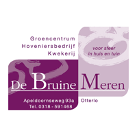 bruinemeren